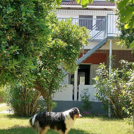 .....Und Der Hund Darf Mit Leilighet Privlaka  Eksteriør bilde